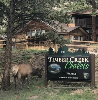 a deer standing next to a sign in front of a house at Timber Creek Chalets- 10A chalet in Estes Park
