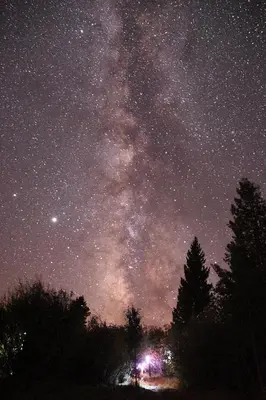 a starry night with the milky way in the sky at Whistle Pig Retreat at 22 West Cabins and Recreation in Hebron