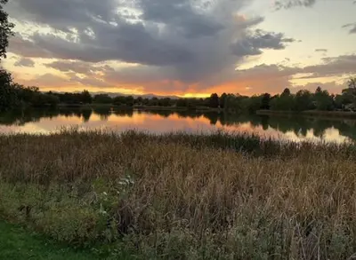 a field with a lake with the sunset in the background at Unique Denver Designer Home 3 Bed 3 Bath in Denver