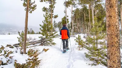a person on skis in the snow near trees at Lakeside, spacious, modern 2BR - sleeps up to 8 condo in Keystone