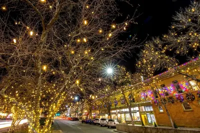 a city street with christmas lights on trees at Timberline Retreat - King Bed, Fireplace & Pool! in Fort Collins