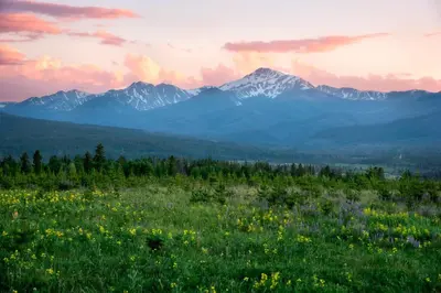 a field of flowers with mountains in the background at Love Grand Lake Townhouse Pet Friendly With garage in Grand Lake