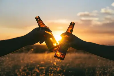 two people holding beer bottles in front of the sunset at Mathews House with 4 King Beds Near CSU and Old Town in Fort Collins