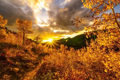 a sunset in a field with the sun in the sky at Mount Acoma 38 Condo in Estes Park