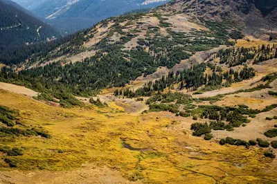 an aerial view of a mountain valley with trees at Little Matterhorn 17A Condo in Estes Park