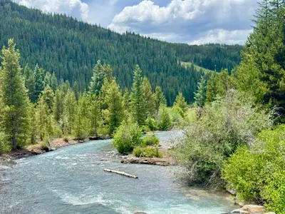 a river in the middle of a forest at Alders 854 By SummitCove Lodging in Keystone