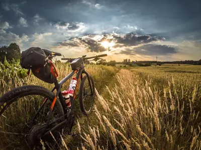 a bike parked in a field of tall grass at Hidden Gem Near Old Town - Grill & Cruiser Bikes! in Fort Collins