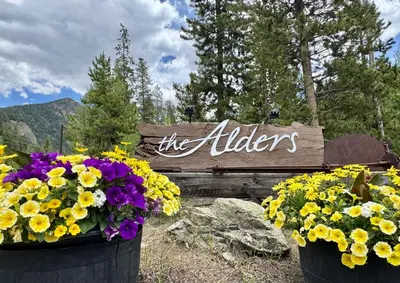 two buckets of flowers in front of a sign at Alders 46 by SummitCove Lodging in Keystone