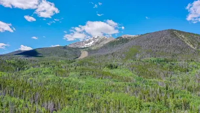 a mountain covered in trees with a snow covered mountain at Blue Granite Off Main Townhome: Updated, Great Location in Frisco