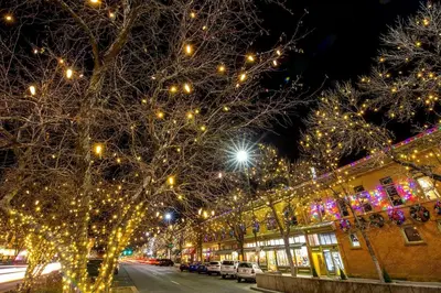 a city street with christmas lights on trees at Spacious Downtown Apartment - Walk to Old Town FC! in Fort Collins
