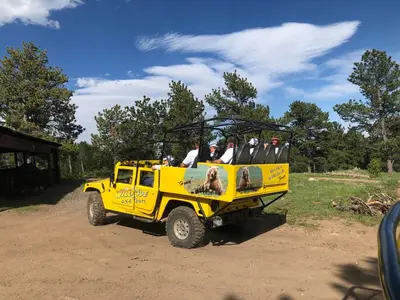 a group of people riding in the back of a yellow truck at Estes Dream! Brand New End Unit with Two Patios, Indoor/Outdoor Fireplace and Jacuzzi in Estes Park