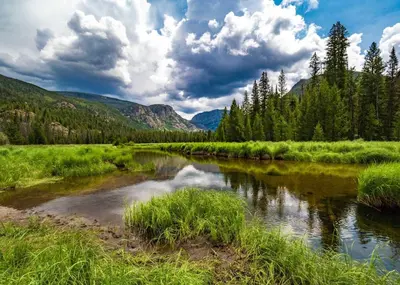 a river in the middle of a field with trees at Overlook, 0015 in Granby